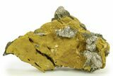 Golden Pyrite on Limonite Clay - Pakistan #283740-1
